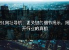 91网址导航：更关键的细节揭示，揭开行业的真相