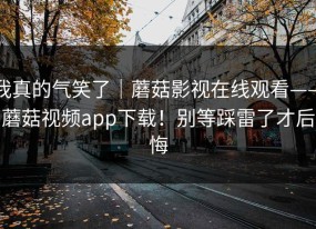 我真的气笑了｜蘑菇影视在线观看——蘑菇视频app下载！别等踩雷了才后悔