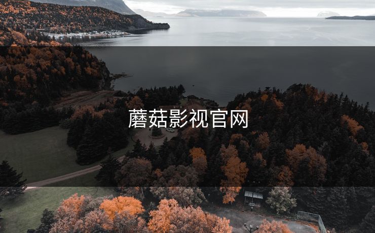 蘑菇影视官网