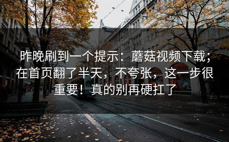 昨晚刷到一个提示：蘑菇视频下载；在首页翻了半天，不夸张，这一步很重要！真的别再硬扛了