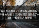 我以为我看错了；蘑菇视频电脑版｜午休的时候 ｜ 我把过程完整复盘了一遍！！看懂的人自然懂